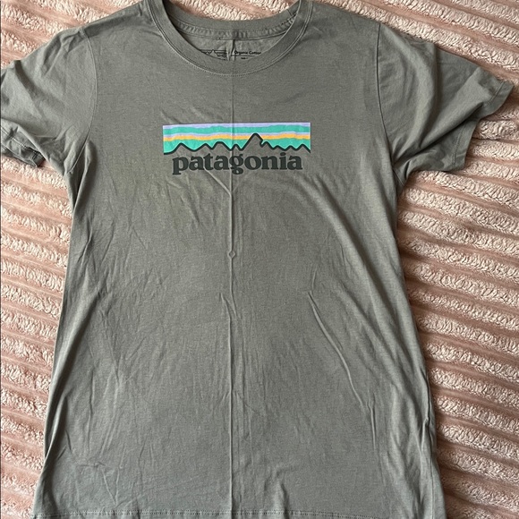 Patagonia Grey T-Shirt with Vibrant Logo - Picture 1 of 4